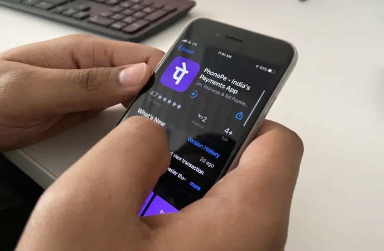 Beyond the Headlines: PhonePe’s IPO Pause and the Hidden Value in Fintech Domains